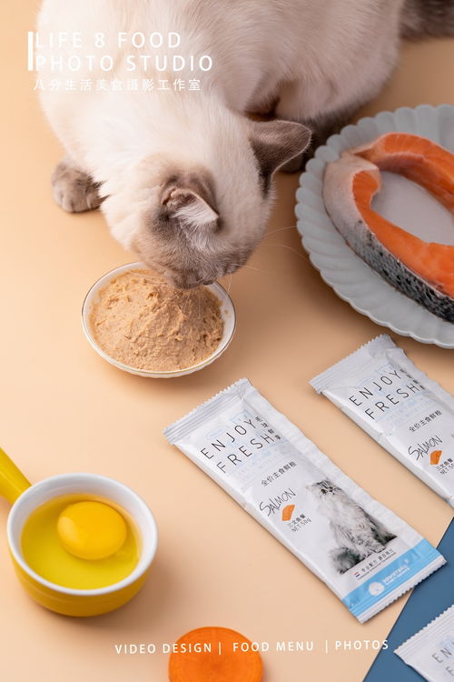 宠物鲜粮 为爱宠开启健康美食新篇章