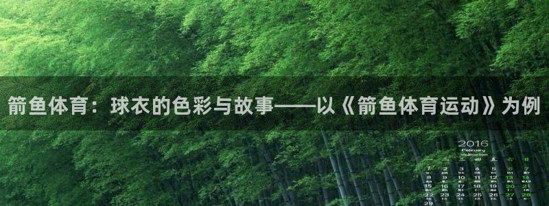 z66体育全站官网：箭鱼体育：球衣的色彩与故事——以《箭鱼体育运动》为例