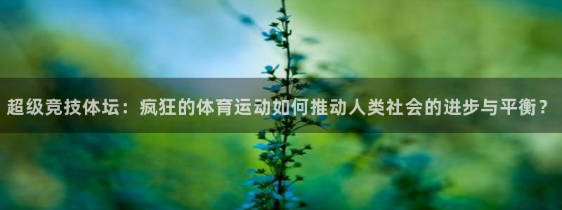 z66体育平台是正规的吗：超级竞技体坛：疯狂的体育运动如何推动人类社会的进步与平衡？