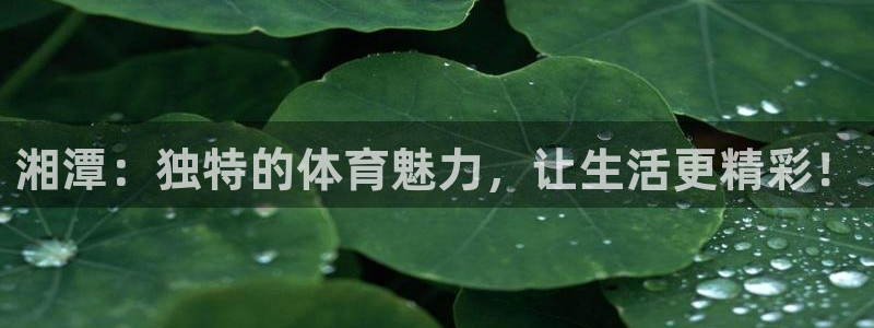 z66体育彩票：湘潭：独特的体育魅力，让生活更精彩！