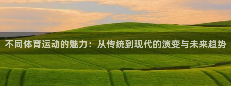 z66体育平台：不同体育运动的魅力：从传统到现代的演变与未来趋势