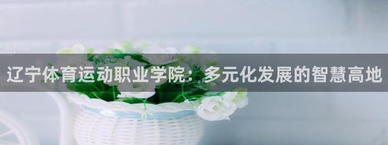 z66体育是怎么回事：辽宁体育运动职业学院：多元化发展的智慧高地